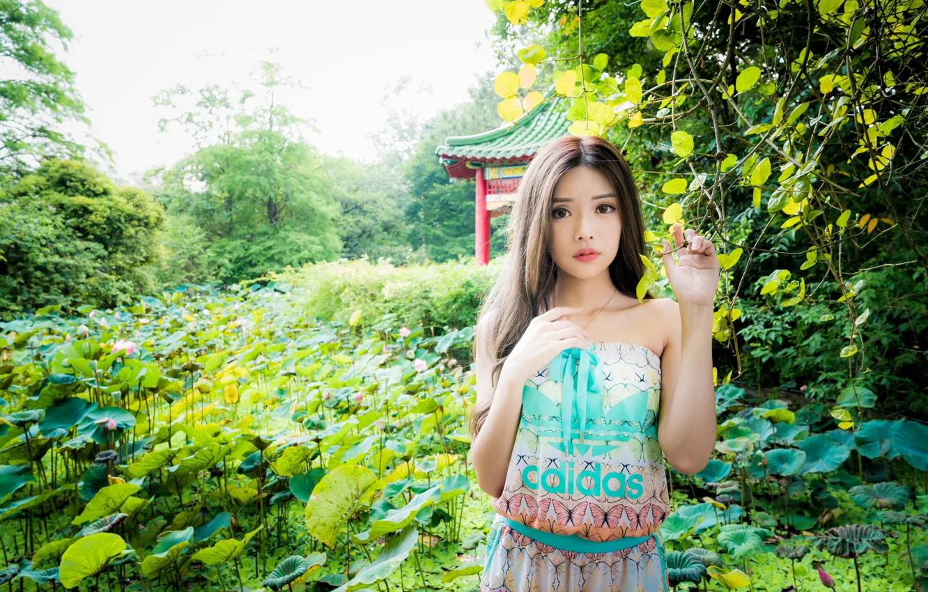 Photo wallpaper girl, branches, hands, Asian, cutie