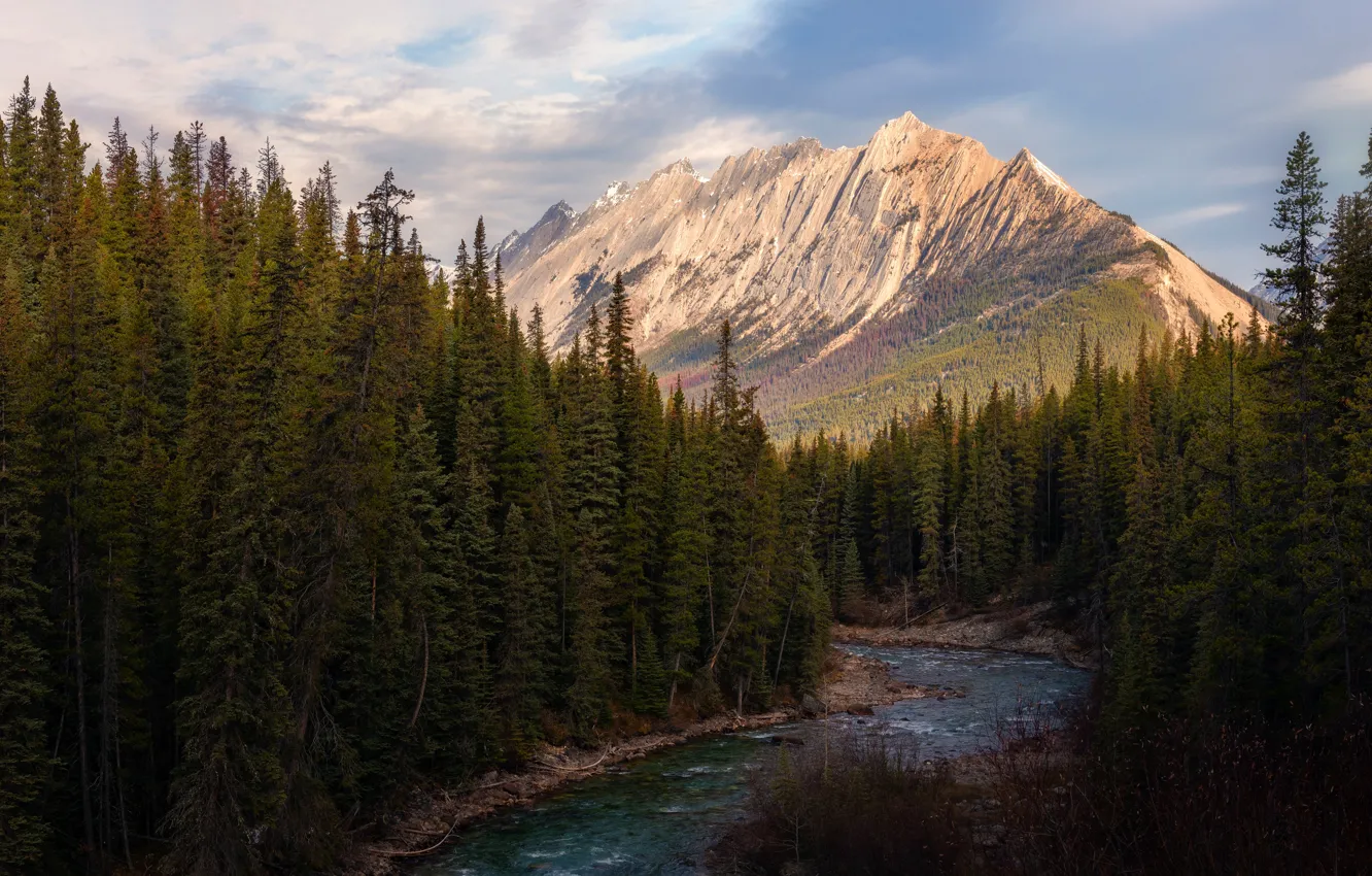 Photo wallpaper forest, mountains, river, shore, ate