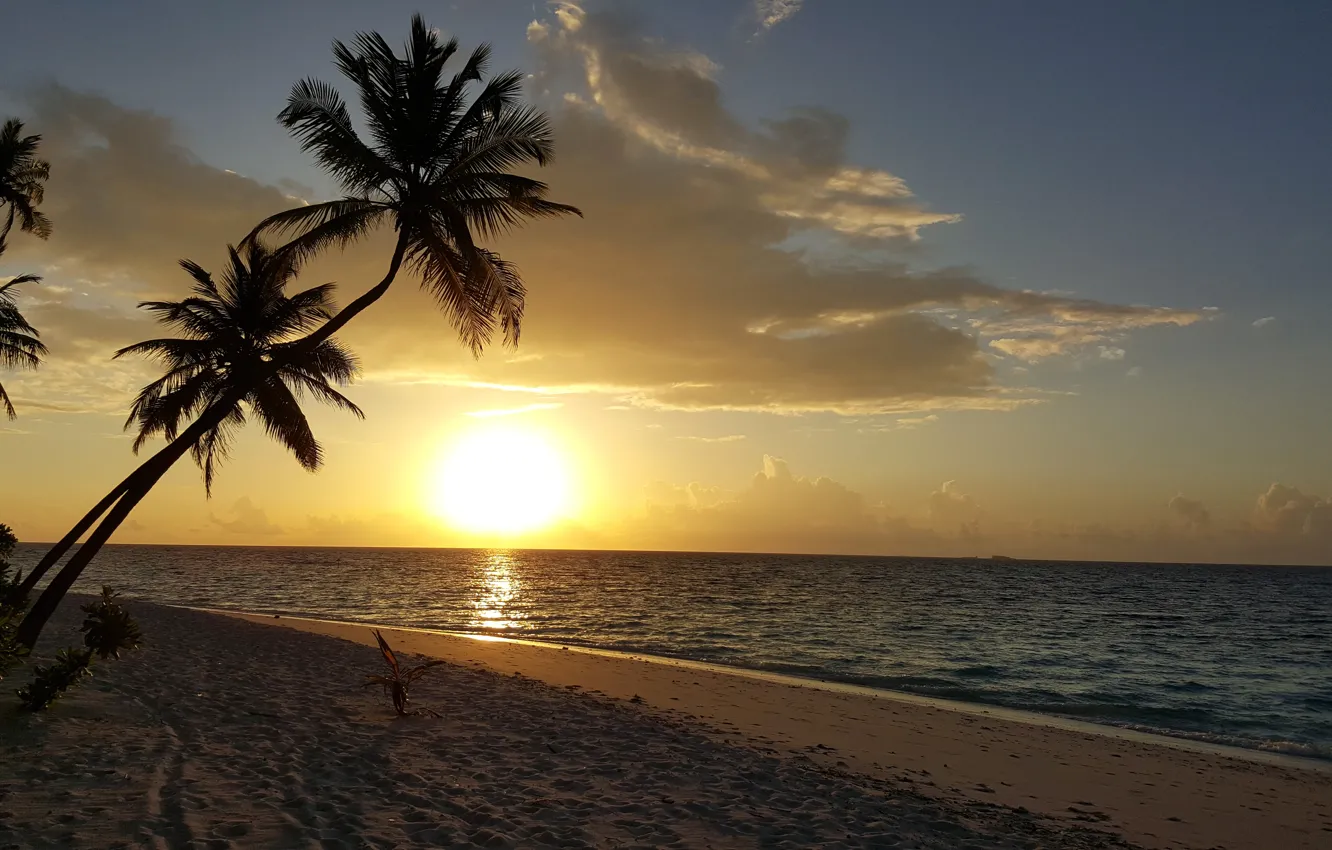 Photo wallpaper beach, the sky, the sun, sunset, tropics, palm trees, the ocean, island