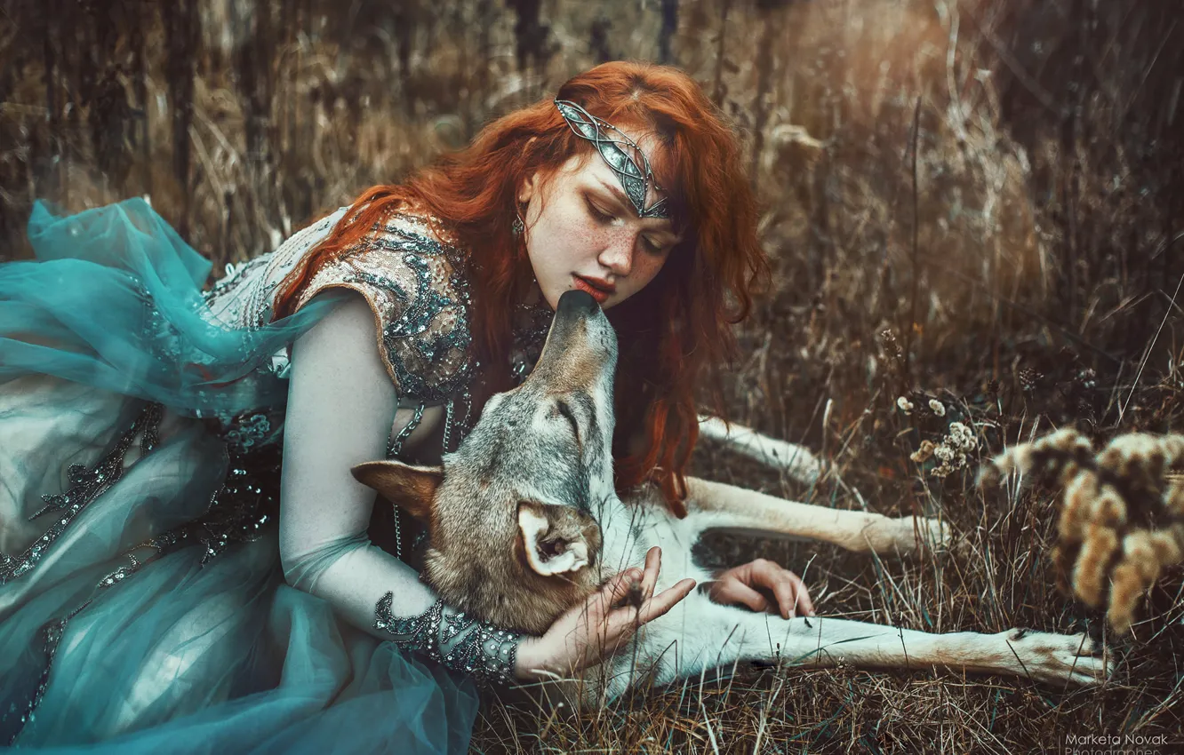 Photo wallpaper girl, wolf, dog, dress, red, friends, Princess, redhead