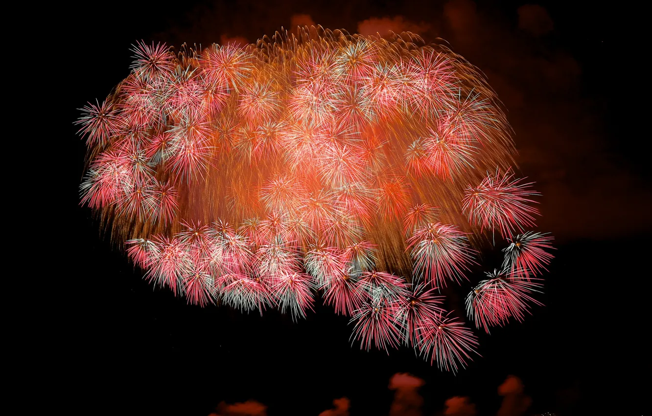 Photo wallpaper the sky, night, lights, salute, fireworks