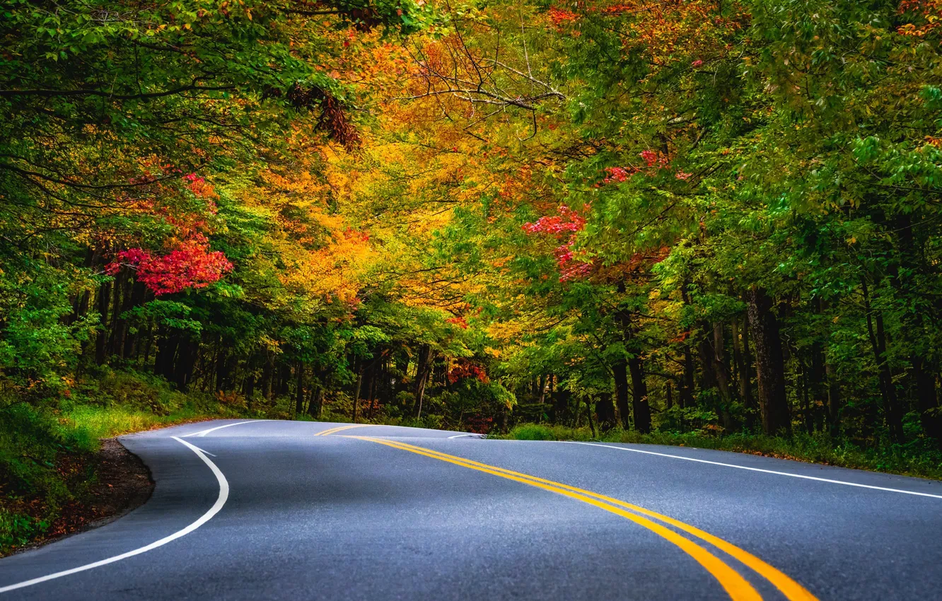 Photo wallpaper road, autumn, forest, trees, markup, turn, Vermont, Vermont