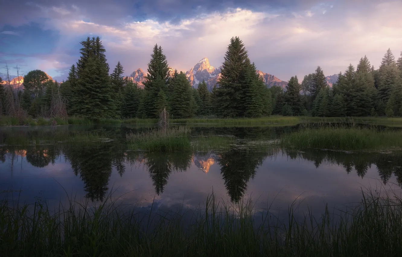 Photo wallpaper forest, the sky, lake, the evening, ate