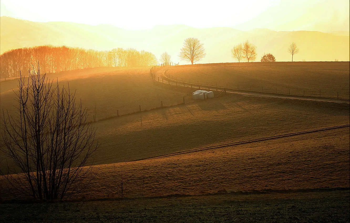 Photo wallpaper landscape, nature, morning, dawn