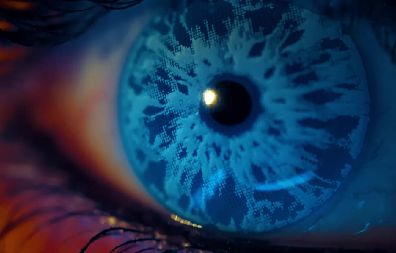 Photo wallpaper eye, human, blu eyes
