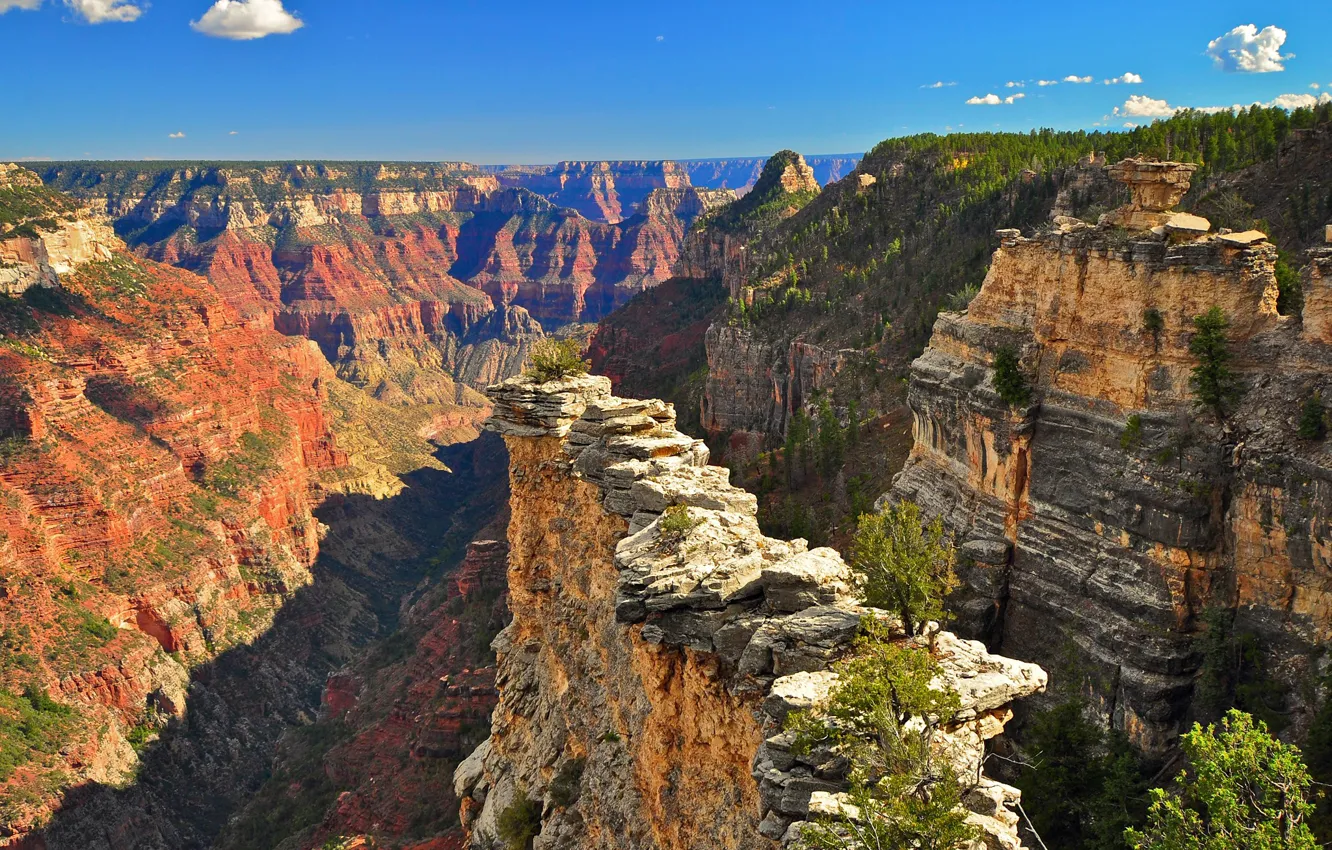 Photo wallpaper the sky, clouds, trees, mountains, canyon, USA, USA, Grand Canyon National Park