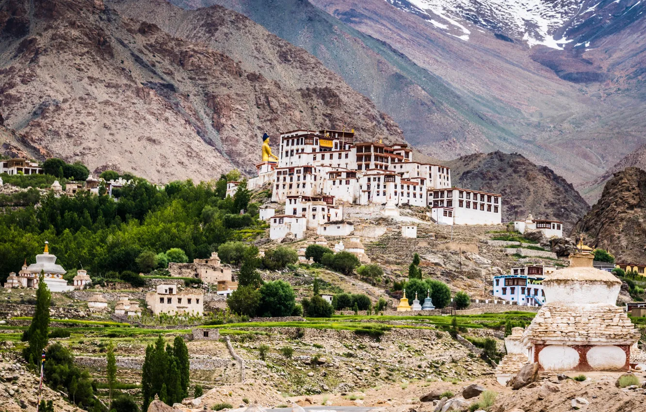 Photo wallpaper trees, mountains, stones, valley, India, the monastery, Ladakh, Likir Monastery