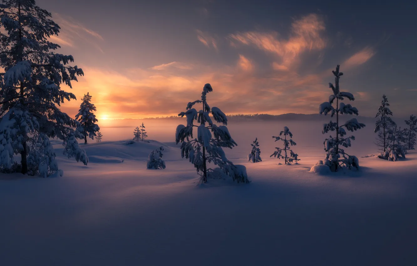 Photo wallpaper winter, snow, trees, sunset, Norway, the snow, Norway, RINGERIKE