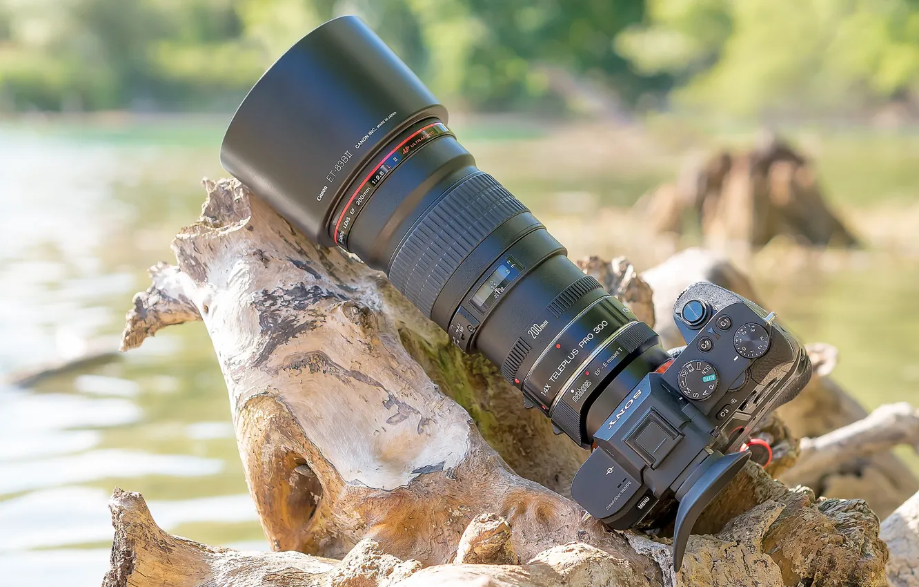 Photo wallpaper the camera, lens, Canon EF200mm, SONY a7II