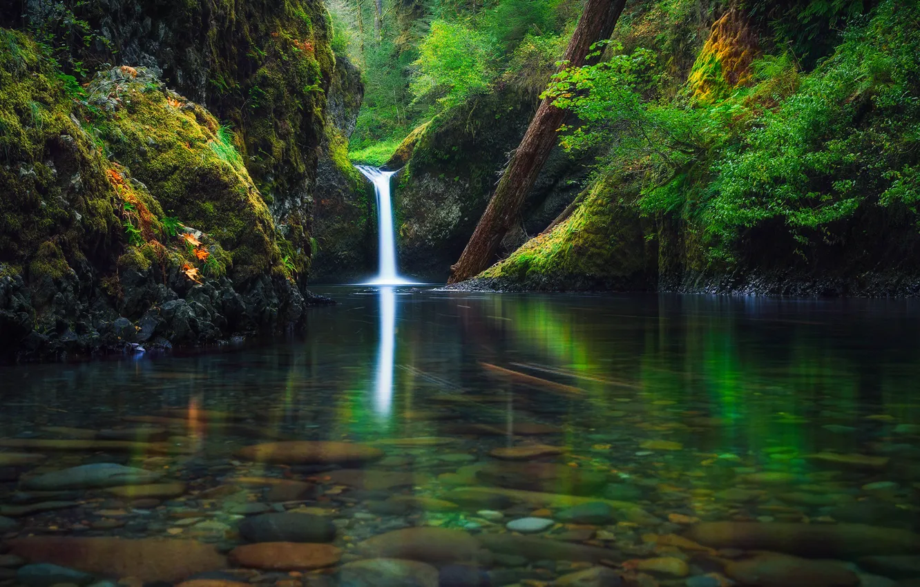 Photo wallpaper autumn, forest, river, waterfall, Oregon, USA, state, September