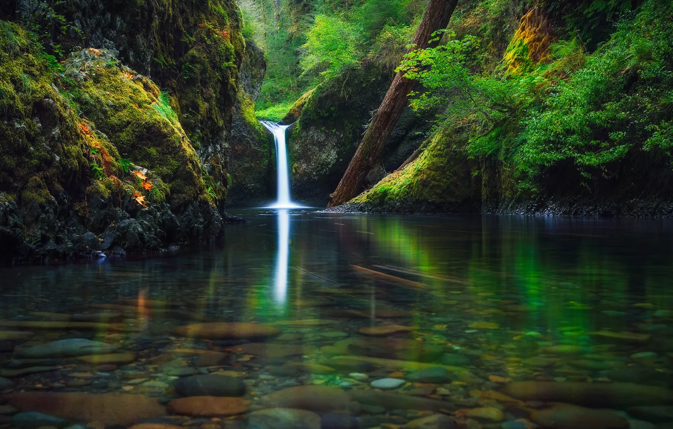 Photo wallpaper autumn, forest, river, waterfall, Oregon, USA, September, state