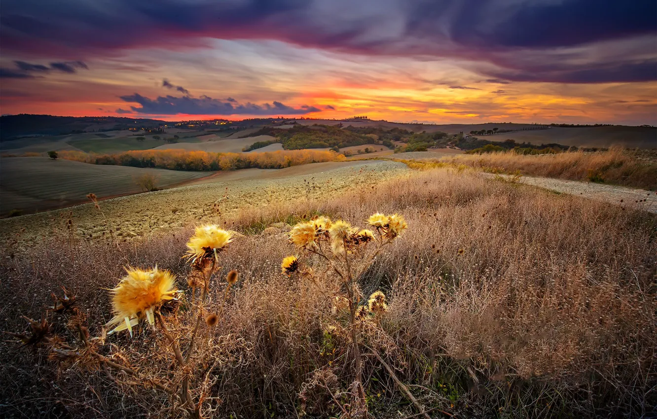 Photo wallpaper Tuscany, Italy, autumn, sunset