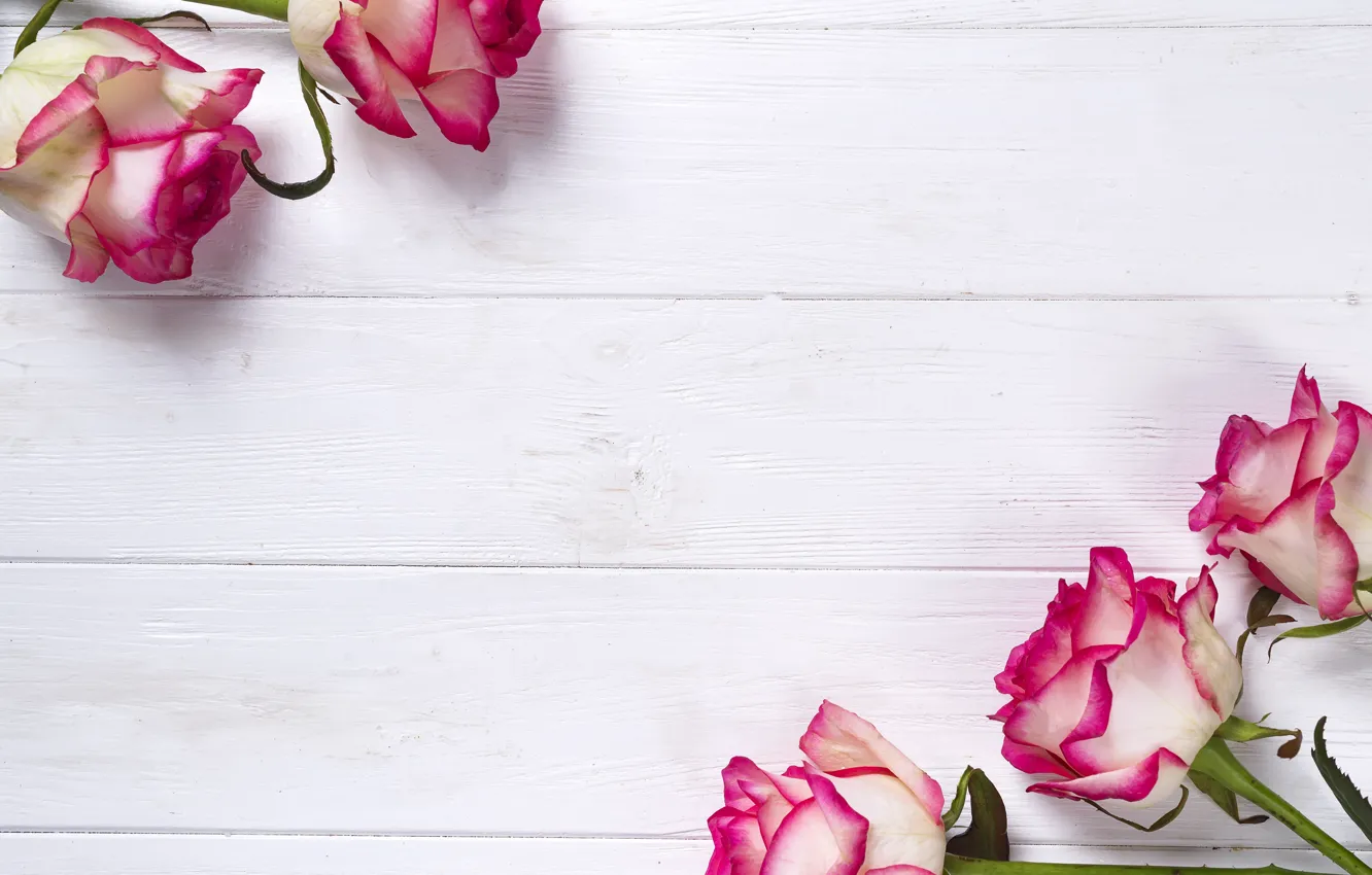 Photo wallpaper flowers, roses, bouquet, pink, pink, flowers, beautiful, roses