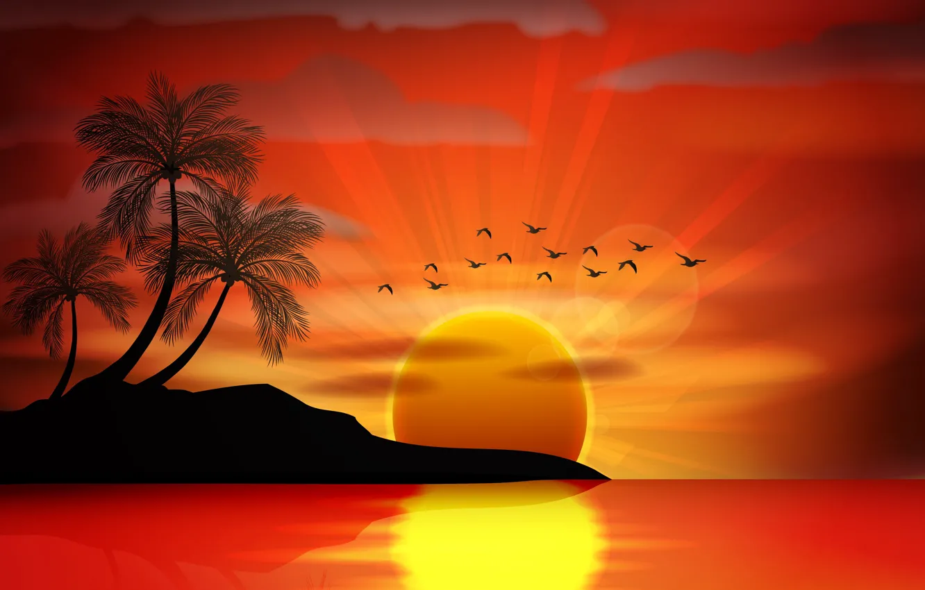 Photo wallpaper sea, sunset, birds, palm trees, vector, island, silhouette, sea