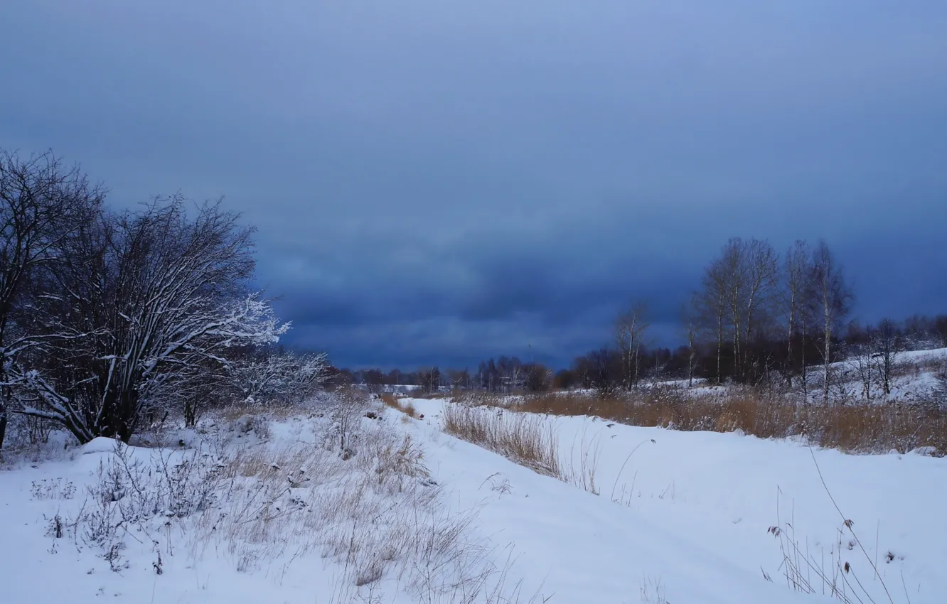 Photo wallpaper field, winter, snow, cold, meadow