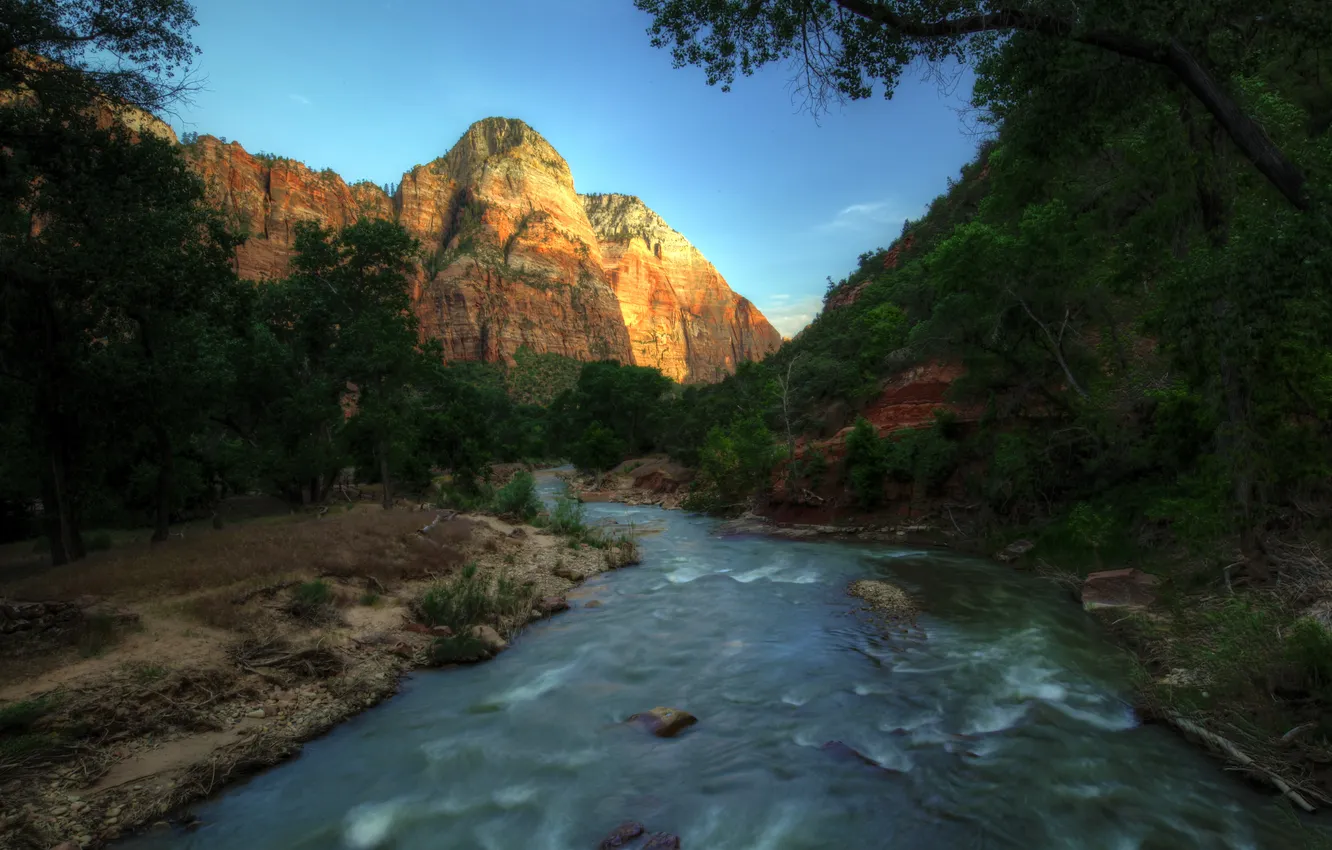 Photo wallpaper trees, mountains, river, shadow, the evening