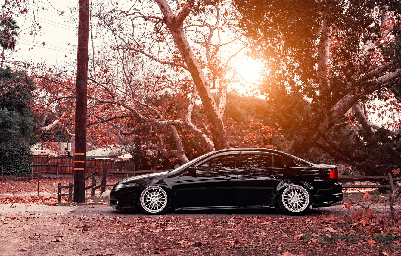 Photo wallpaper black, tuning, profile, Honda, Accord, Honda, chord, Acura