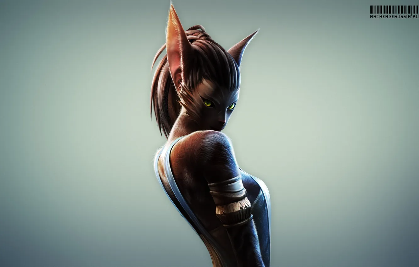 Photo wallpaper cat, ferre, archeage