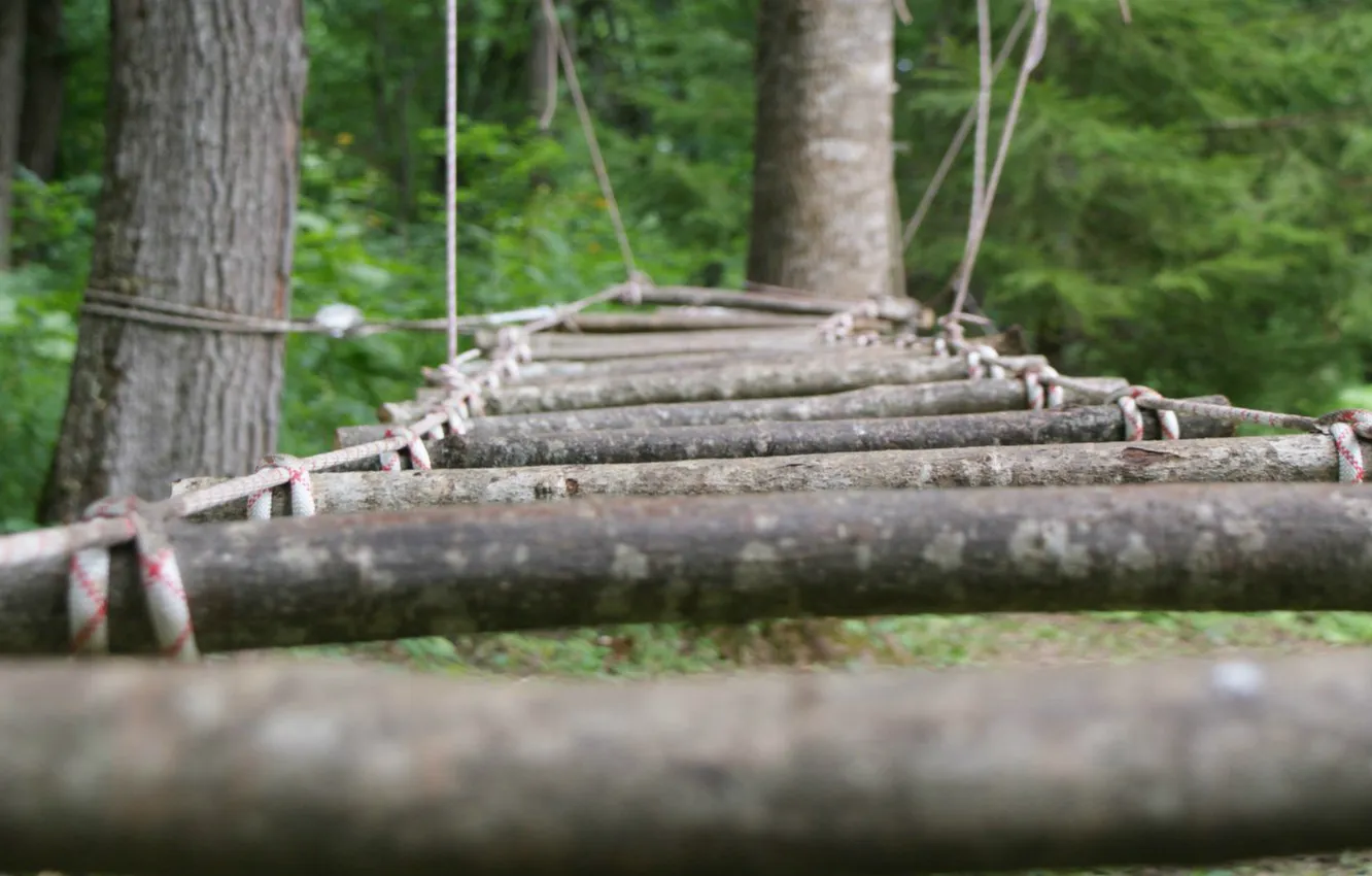 Photo wallpaper macro, bridge, beauty, the bridge