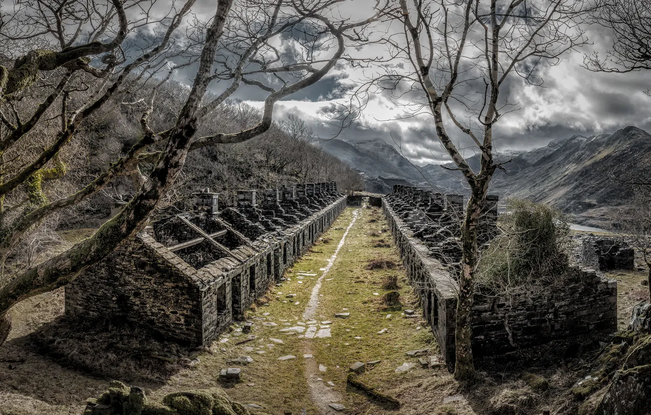 Photo wallpaper road, forest, trees, mountains, branches, stones, overcast, building