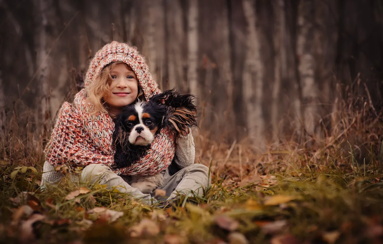 Photo wallpaper autumn, grass, leaves, trees, nature, dog, scarf, hood