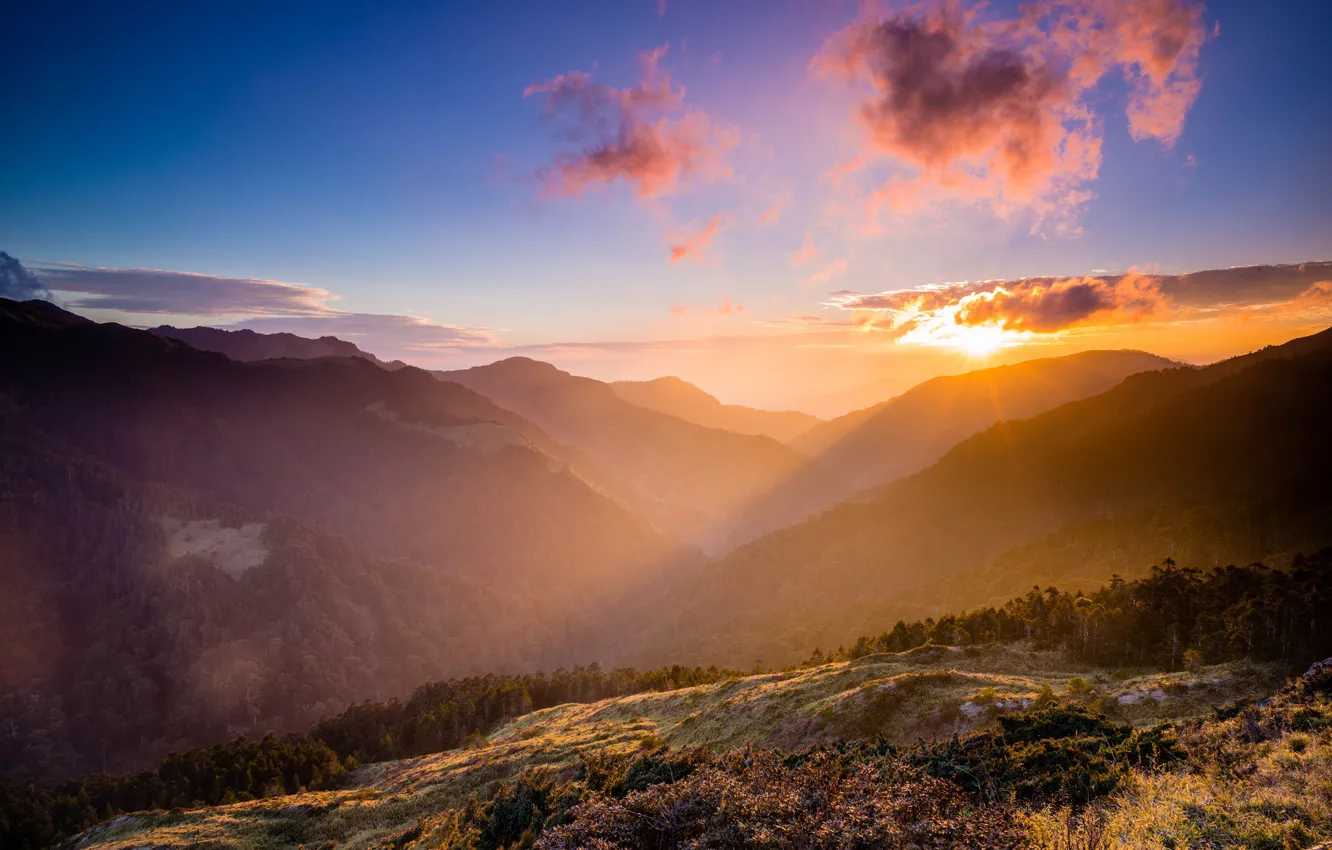 Photo wallpaper forest, summer, the sky, clouds, rays, light, landscape, sunset