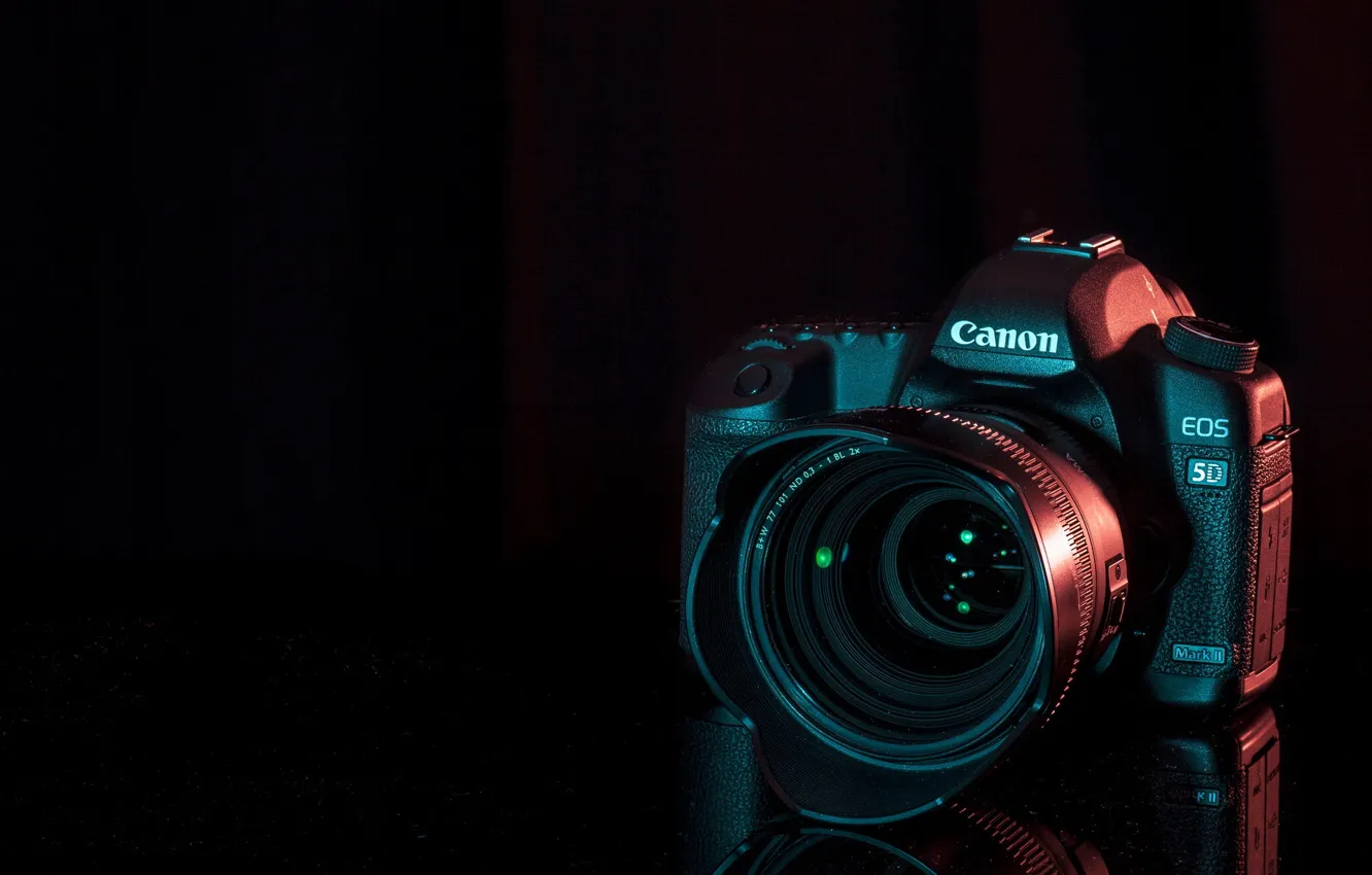 Photo wallpaper macro, background, camera