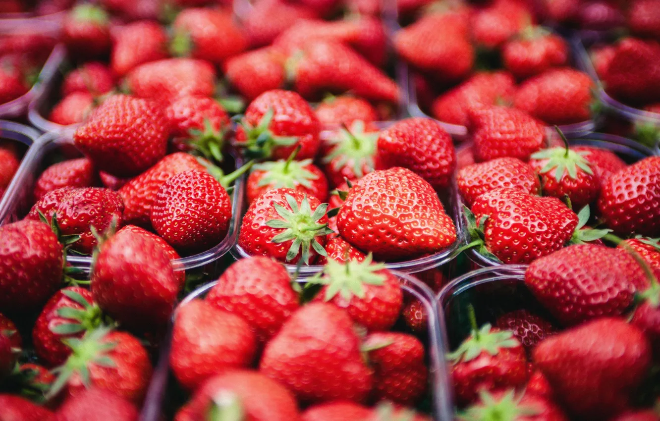 Photo wallpaper berries, strawberry, a lot, containers, trays, boxes