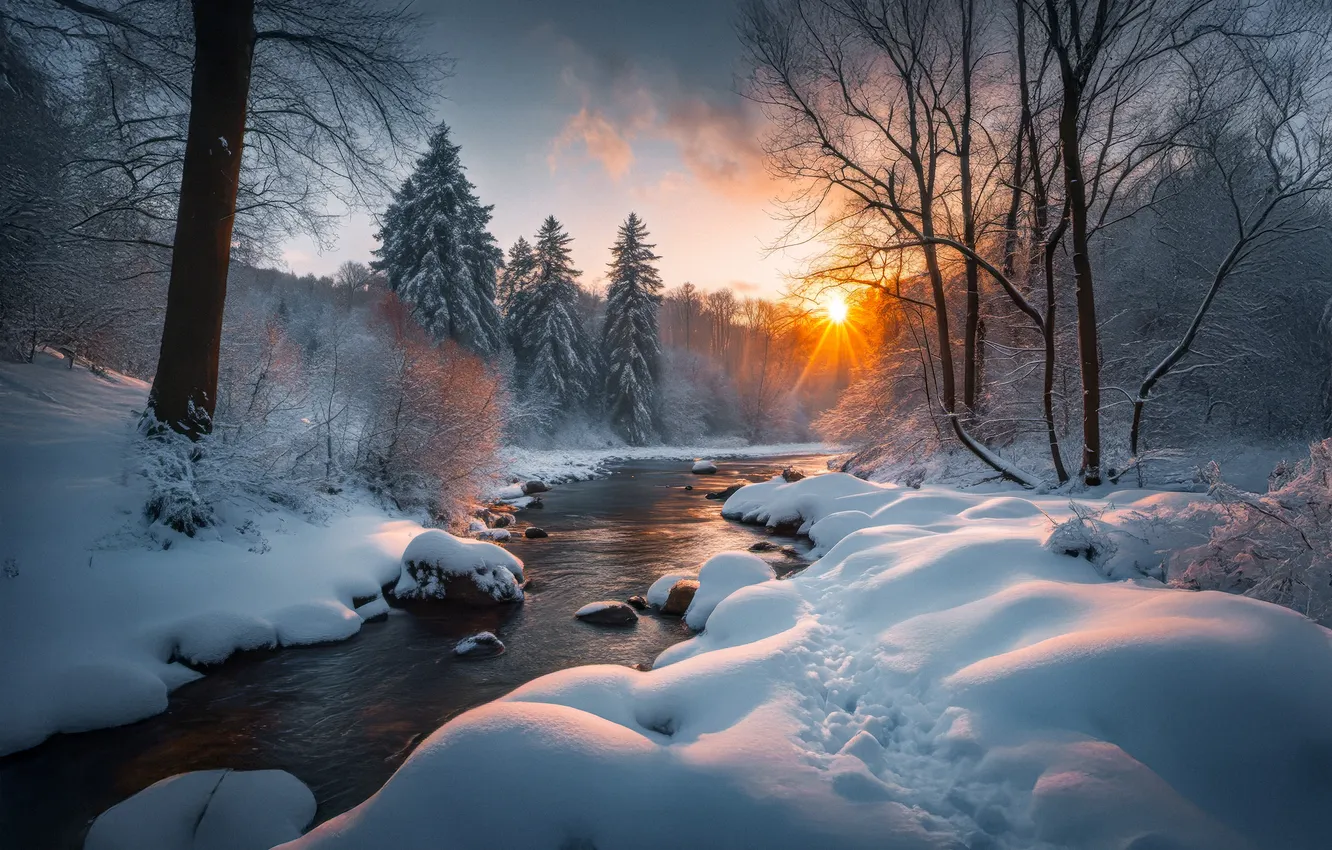 Photo wallpaper winter, forest, sunset, river