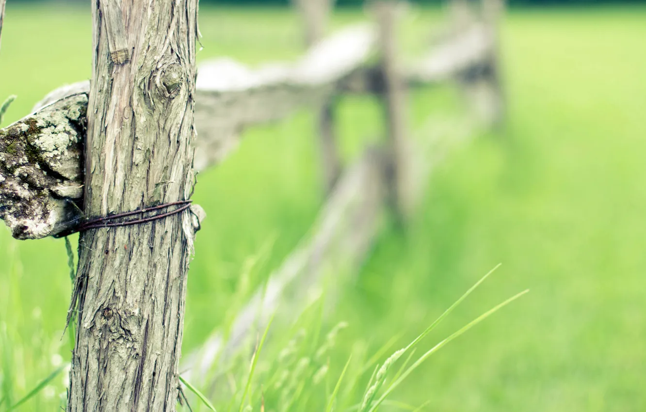 Photo wallpaper field, summer, grass, trees, the fence, wire, field, fence