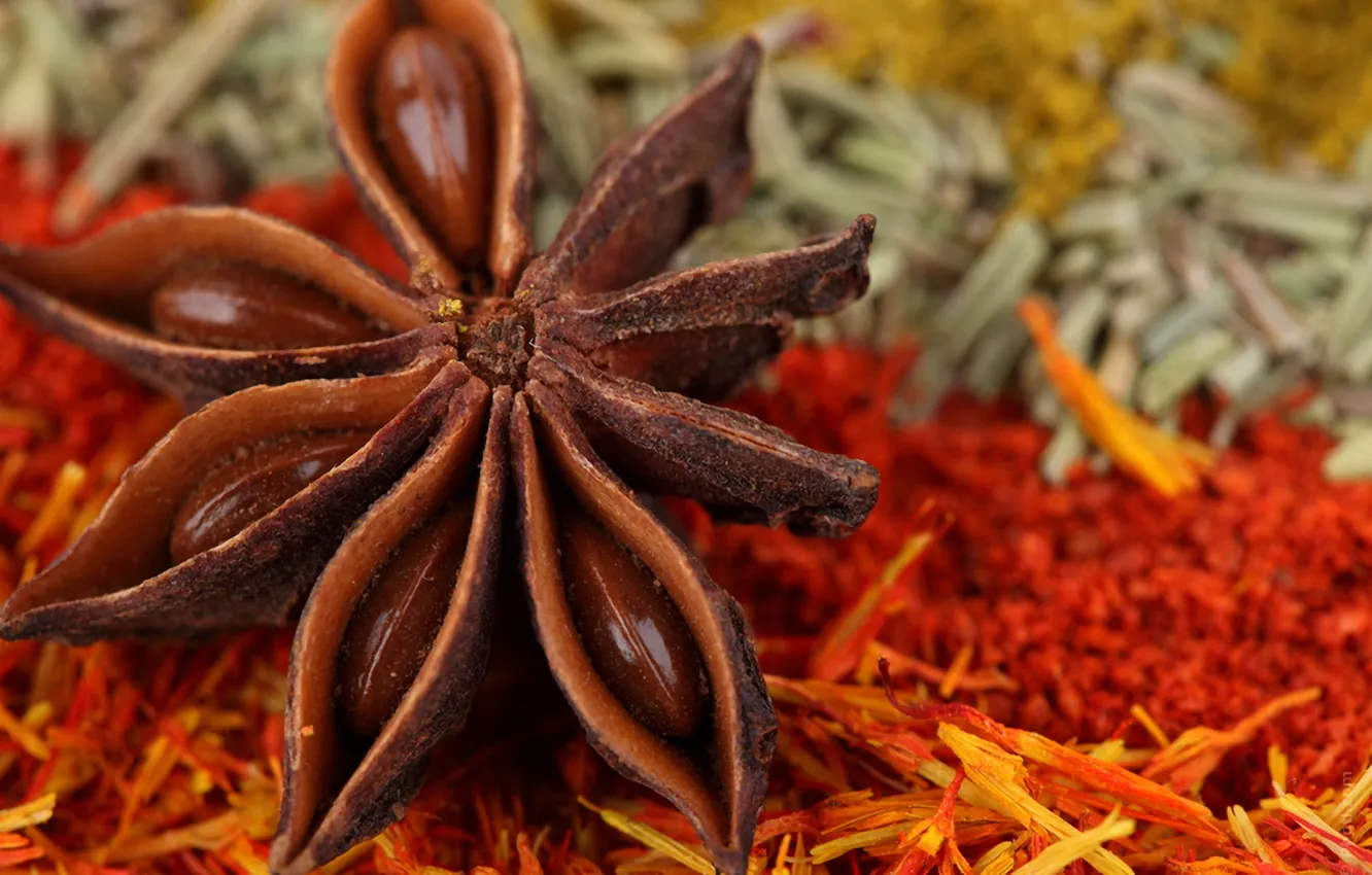 Photo wallpaper spices, seasoning, star anise