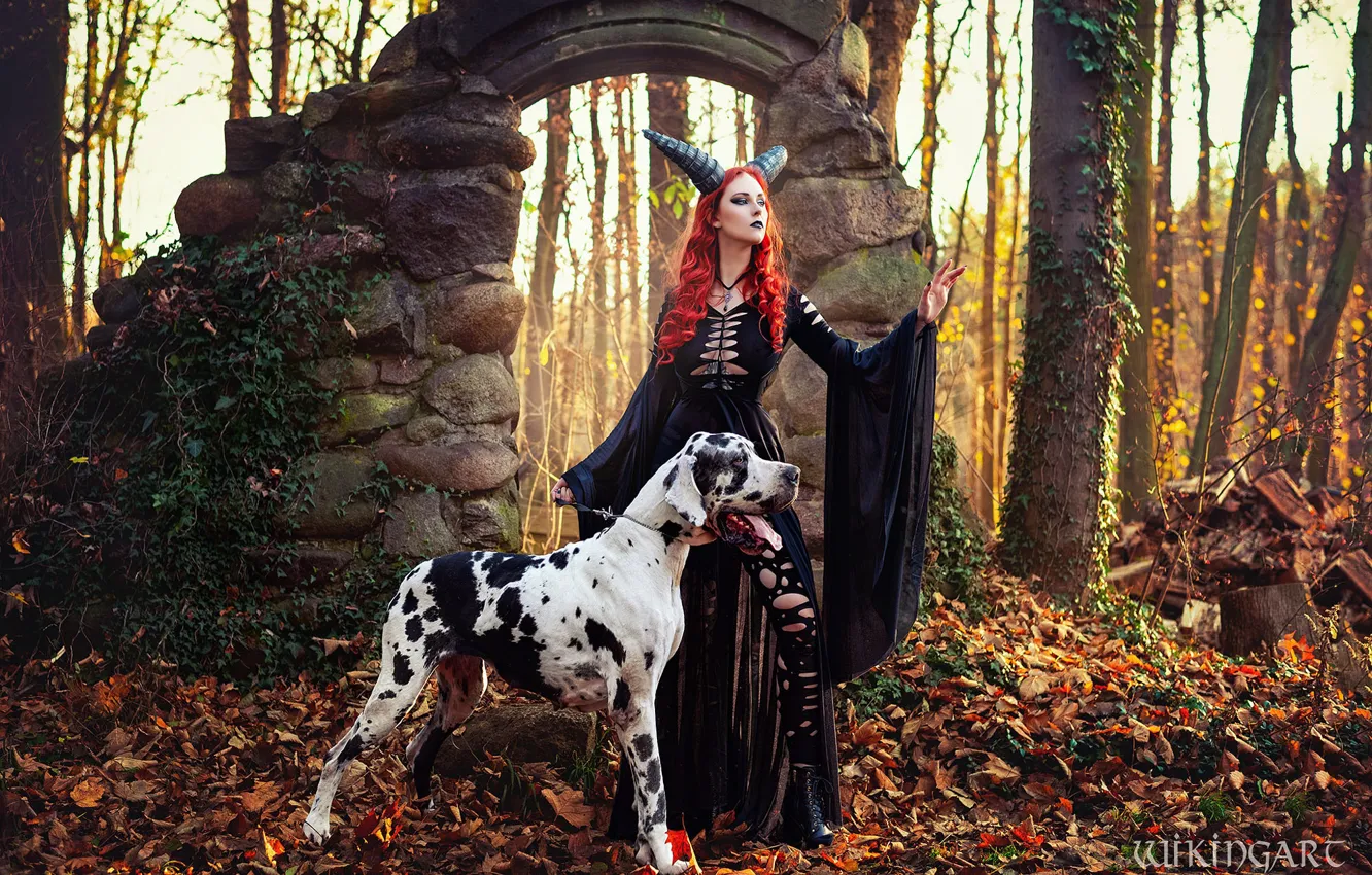 Photo wallpaper forest, girl, nature, pose, style, dog, makeup, costume