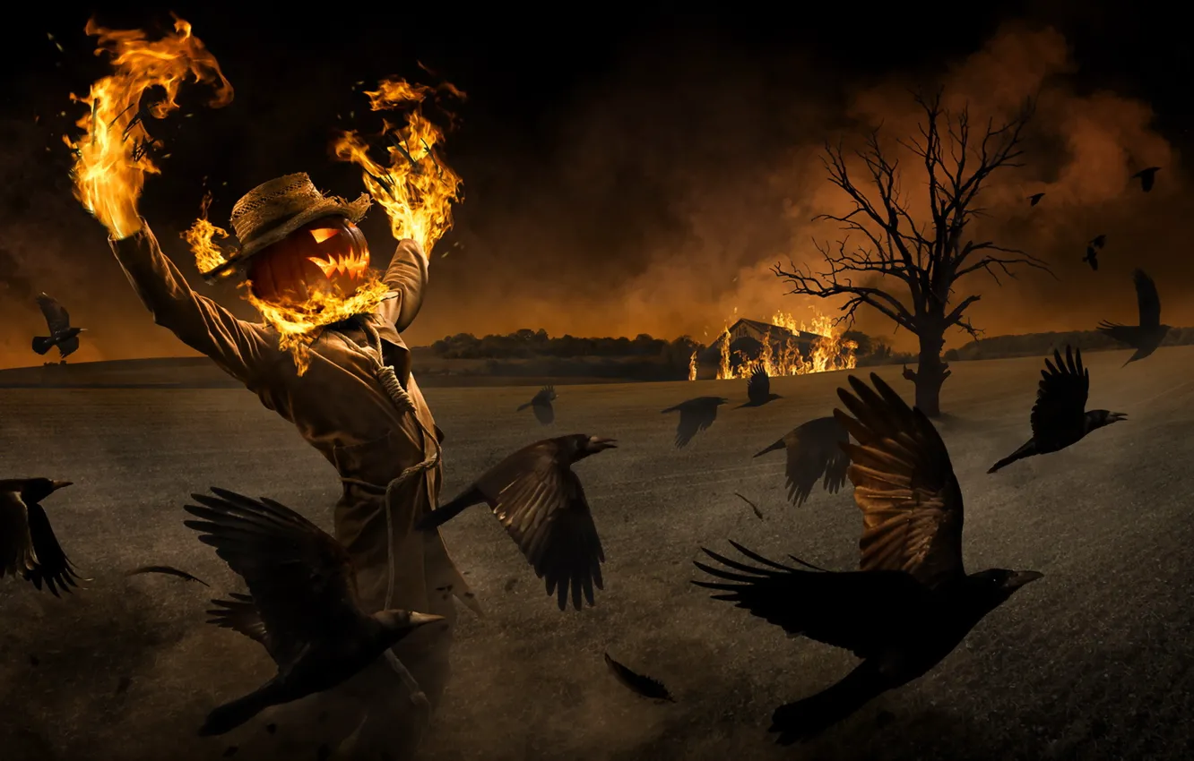 Photo wallpaper Halloween, fire, care, crow, pumpkis, ravens