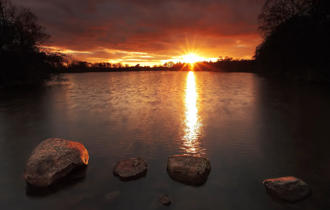 Photo wallpaper forest, lake, stones, dawn, morning