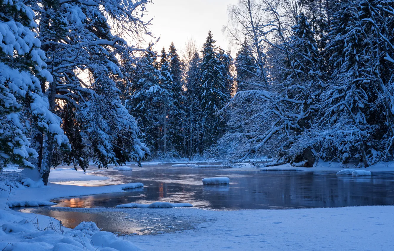 Photo wallpaper winter, forest, water, snow, trees, landscape, nature, river