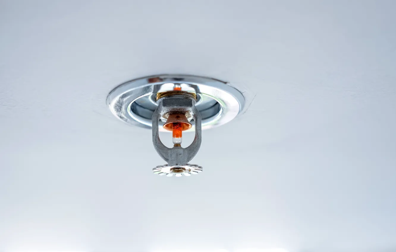 Photo wallpaper fire protection, sprayer, pressure bulb