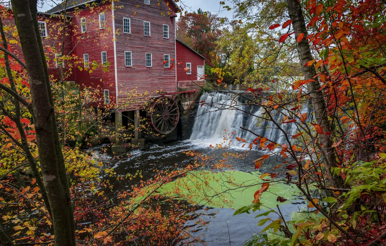 Photo wallpaper autumn, forest, trees, river, waterfall, USA, water mill, Wisconsin