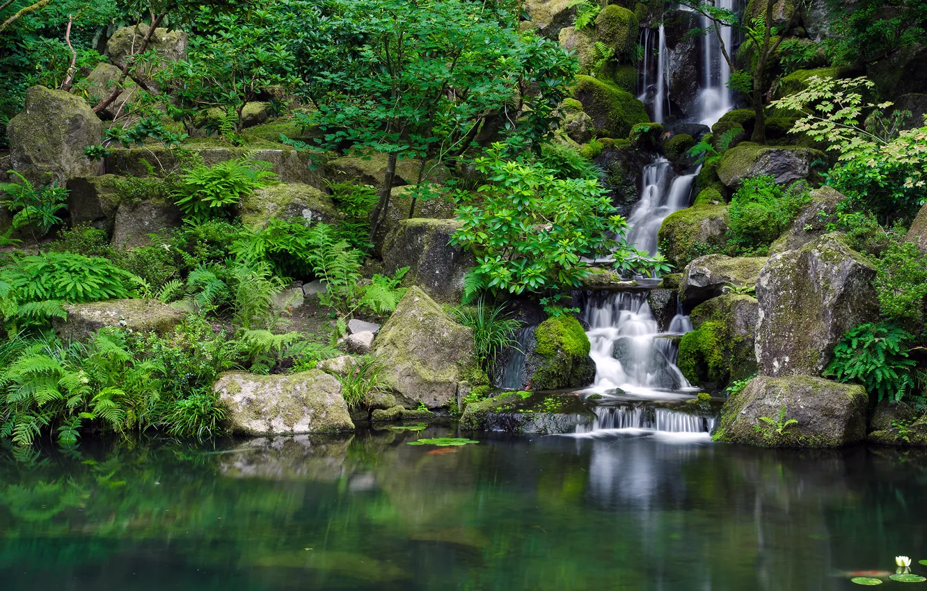 Photo wallpaper greens, water, stones