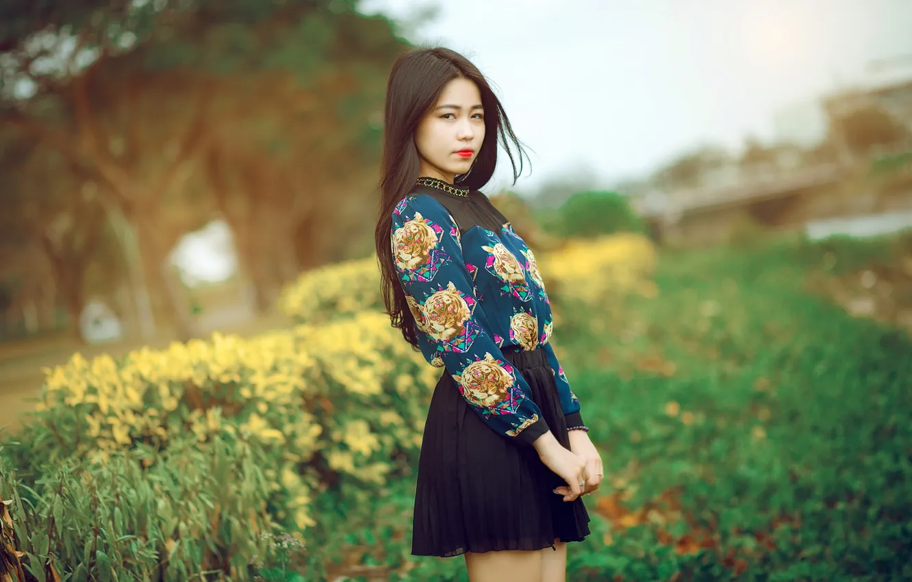 Photo wallpaper look, girl, Asian