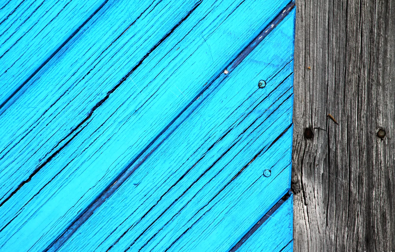 Photo wallpaper trees, cracked, Board, blue color
