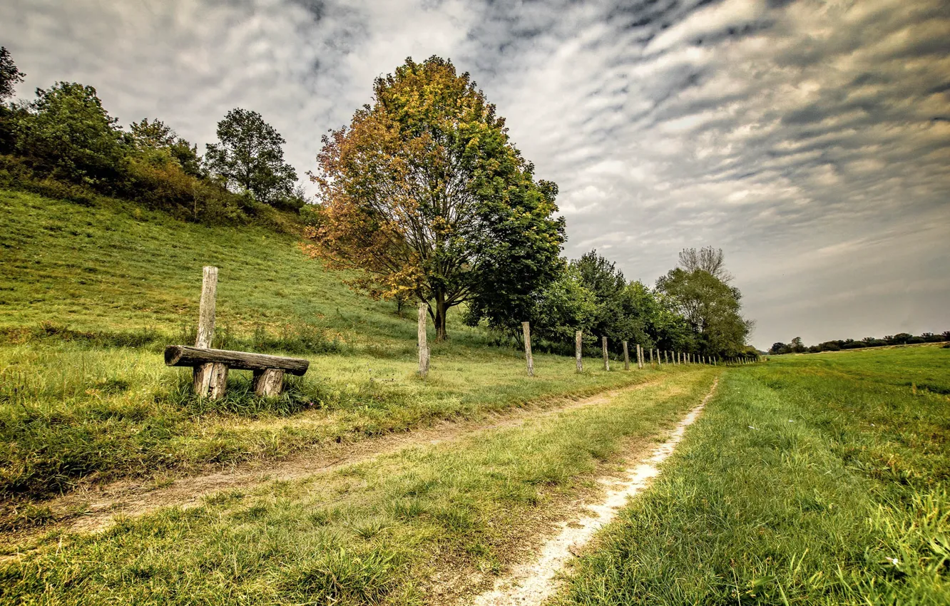 Photo wallpaper road, nature, bench