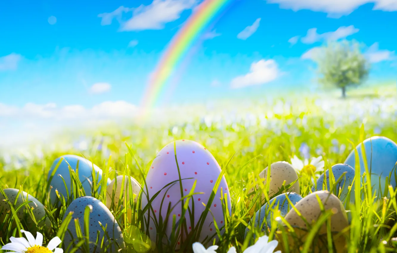 Photo wallpaper grass, flowers, chamomile, eggs, spring, Easter, grass, sunshine