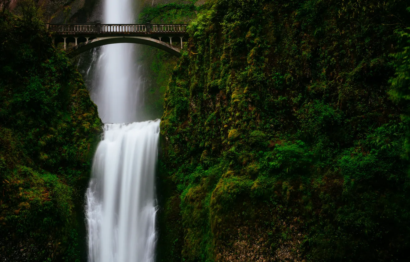 Photo wallpaper greens, mountains, bridge, waterfall, stream