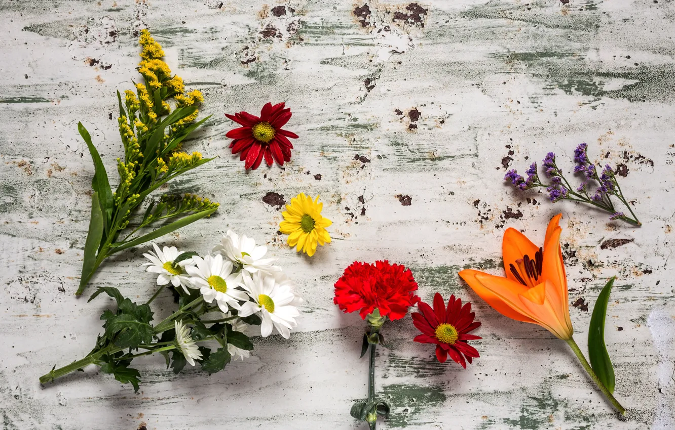Photo wallpaper flowers, colorful, wood, flowers, composition, floral