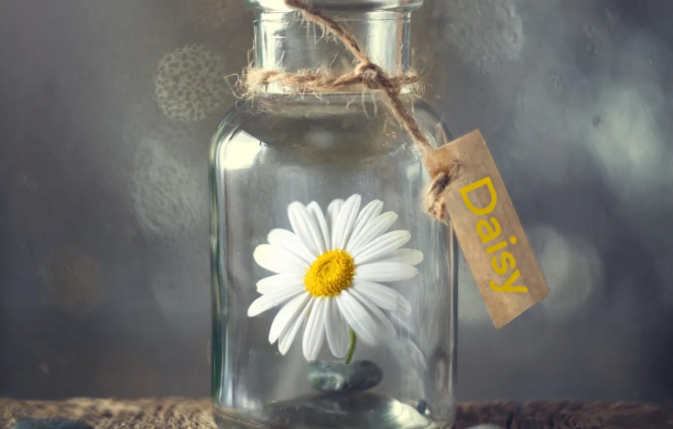 Photo wallpaper flowers, background, Bank