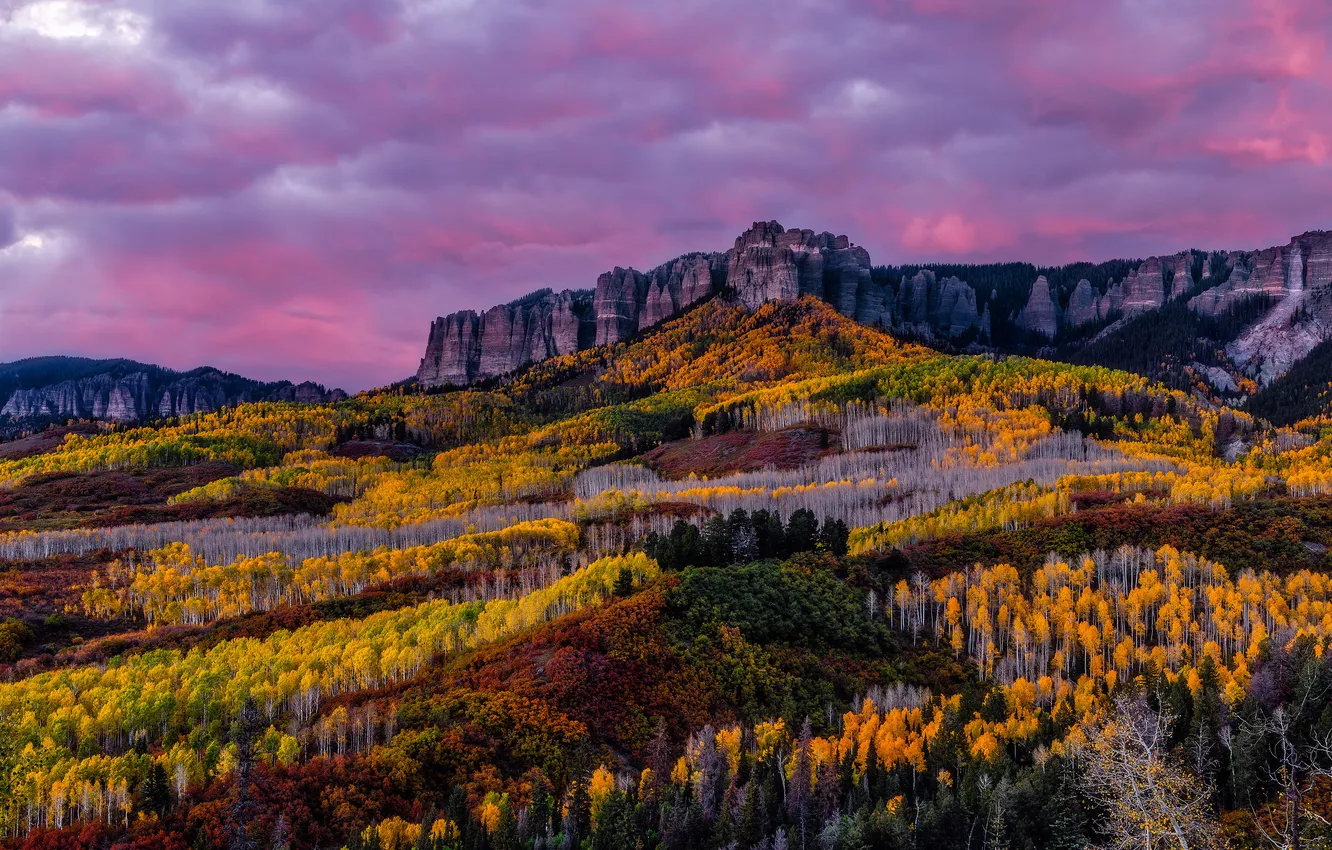 Photo wallpaper autumn, forest, clouds, trees, mountains, rocks, the evening, slope