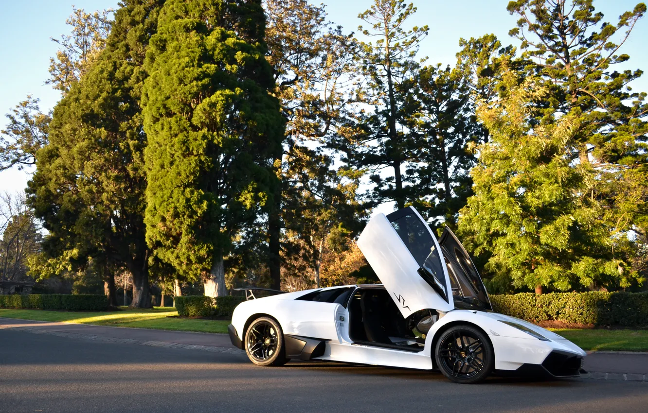 Photo wallpaper white, trees, street, white, lamborghini, side view, murcielago, street