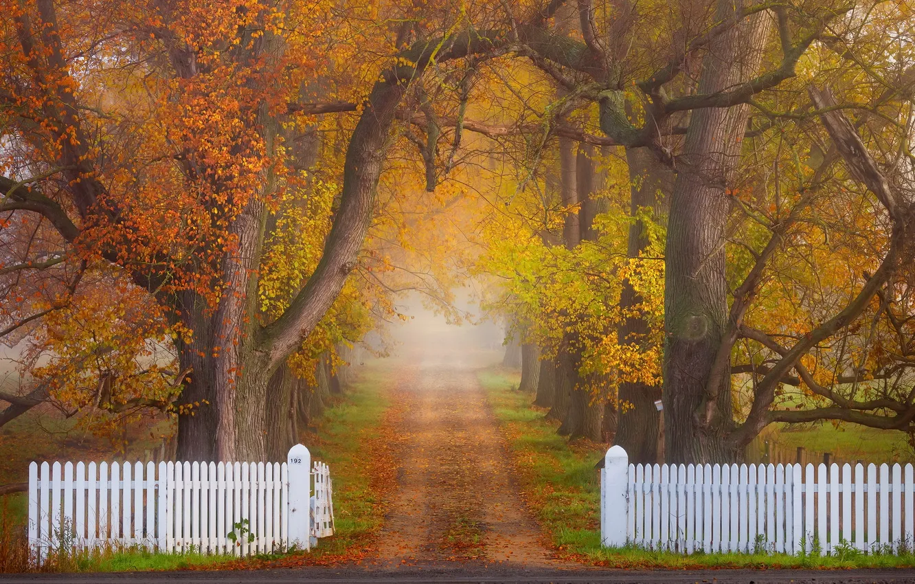 Photo wallpaper road, autumn, the fence