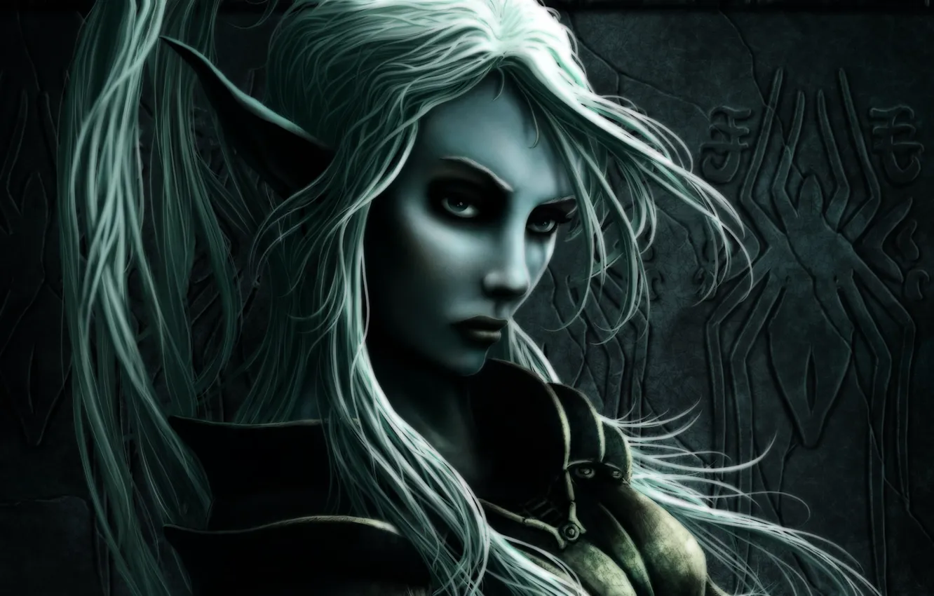 Photo wallpaper look, elf, dark, armor