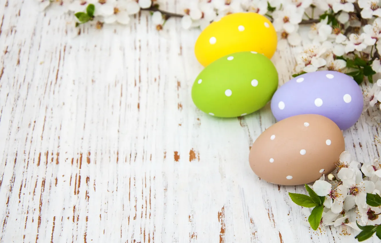 Photo wallpaper flowers, eggs, spring, colorful, Easter, wood, blossom, flowers